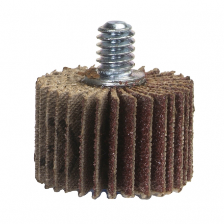 primary_image