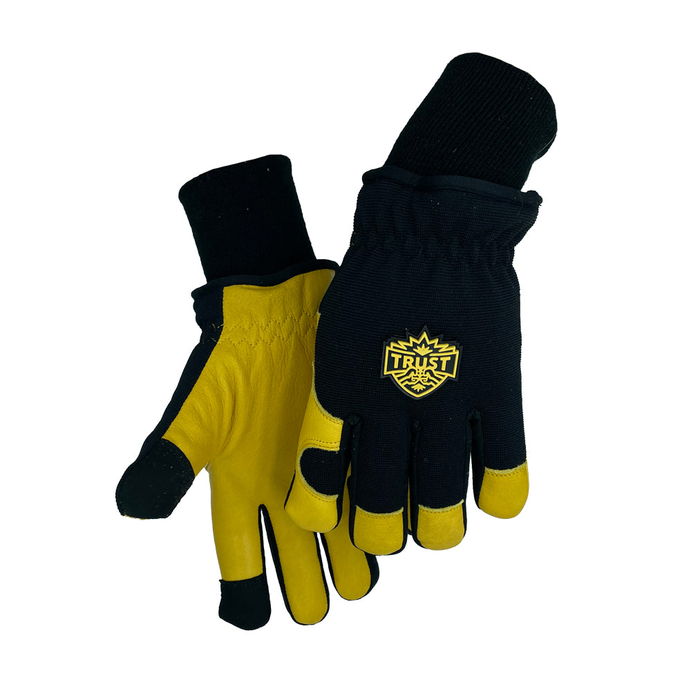 primary_image