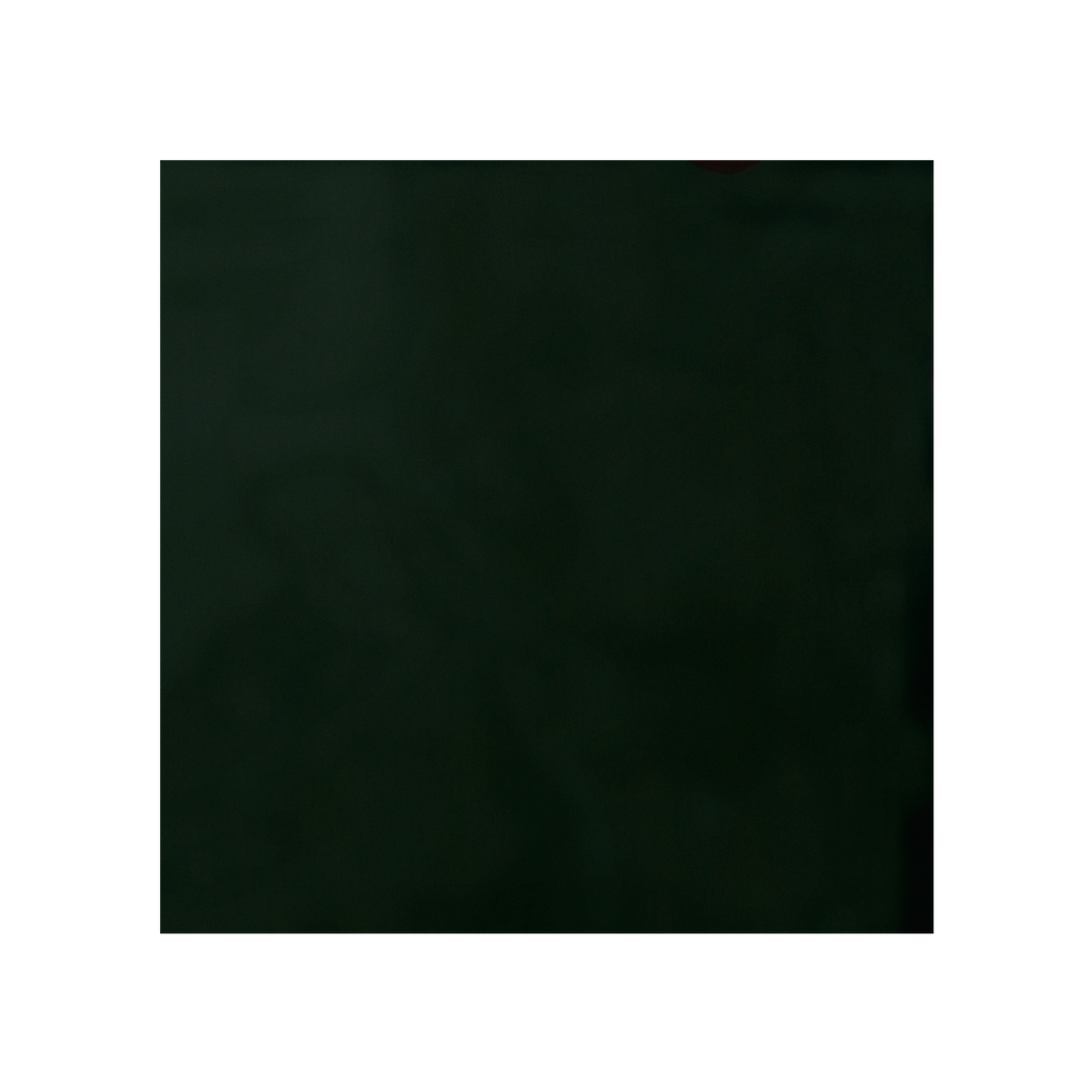 alternate_image