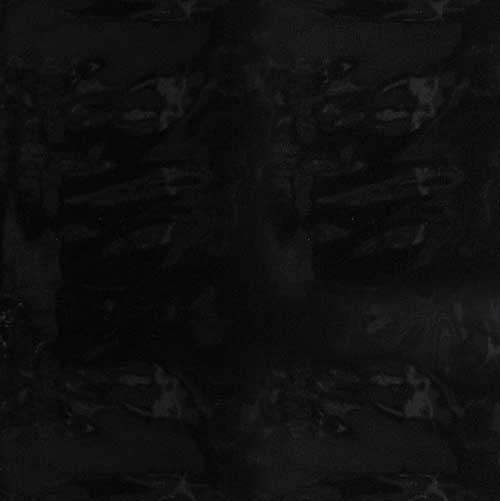 primary_image