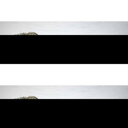 alternate_image