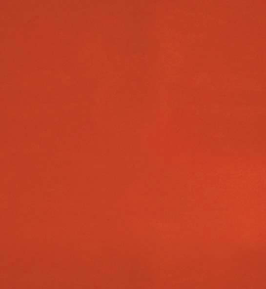 primary_image